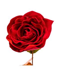 Rosa afelpada rojo y verde