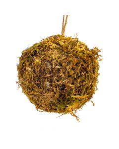 Esfera navideña con musgo