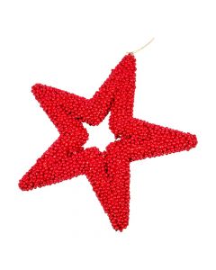 Figura estrella navideña roja