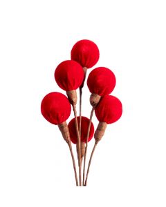 Flor navideña rojo