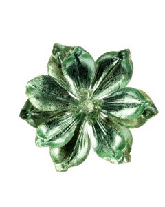 Flor navideña
