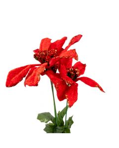 Pastora navideña roja