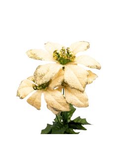 Pastora navideña champagne