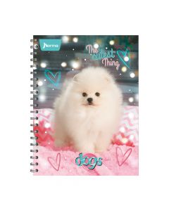 Cuaderno Norma espiral grande 100h amer dogs