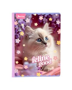 Cuaderno Norma cosido 100 hojas