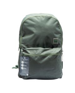 Salveque grande verde