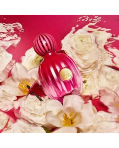 Perfume The Icon edp m 100ml