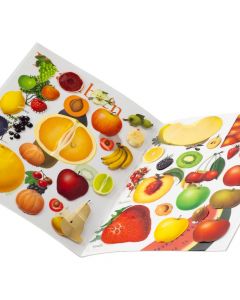 Libro interactivo descubre y pega