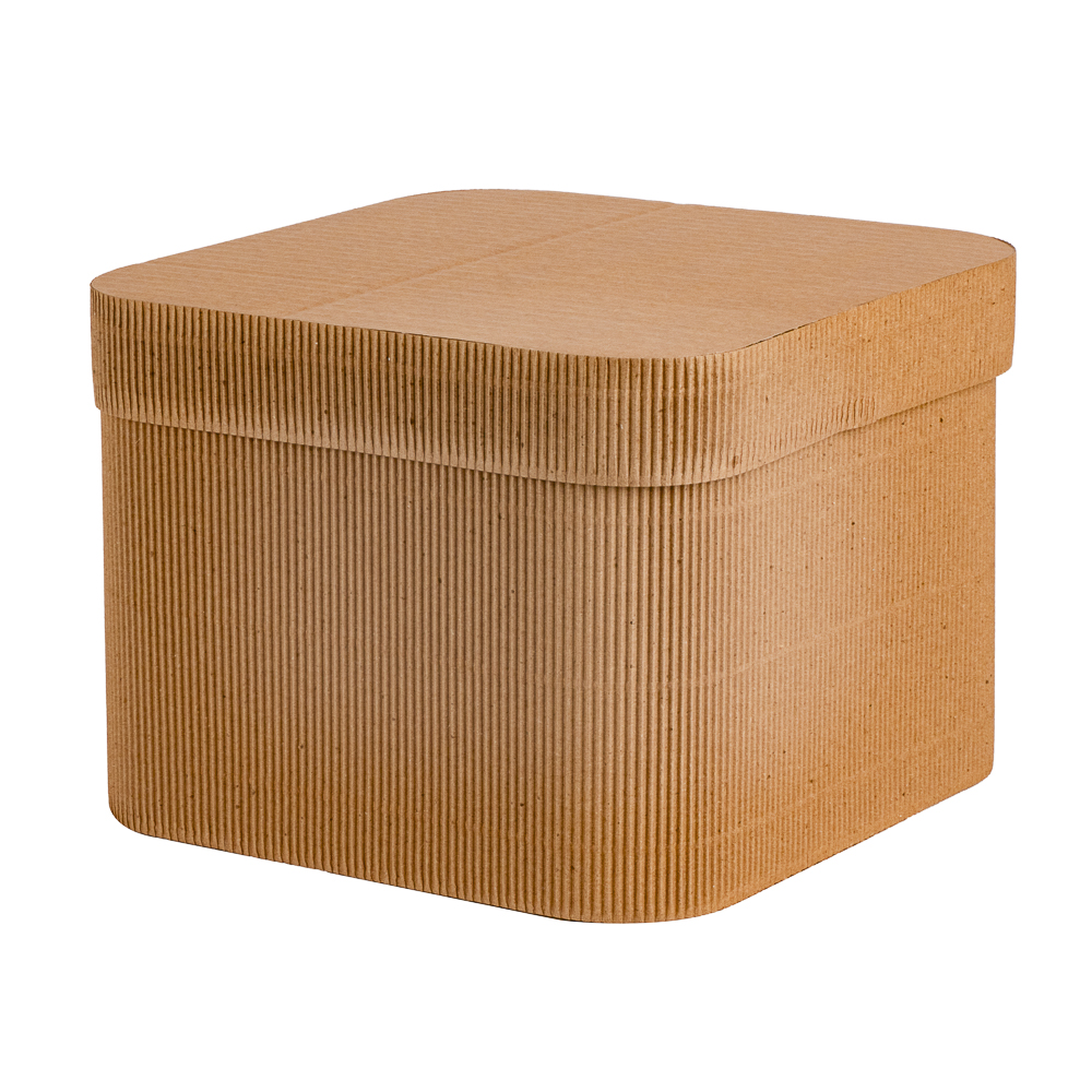 Caja tipo cubo corrugad #3