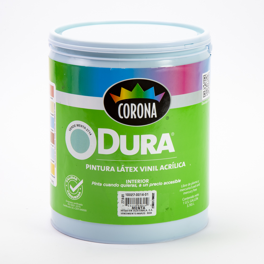 Pintura Dura látex menta