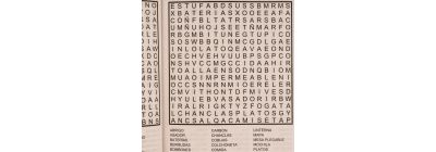 Libro sopa de letras surtido