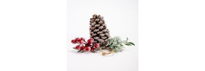 Decorativo navideño bellota
