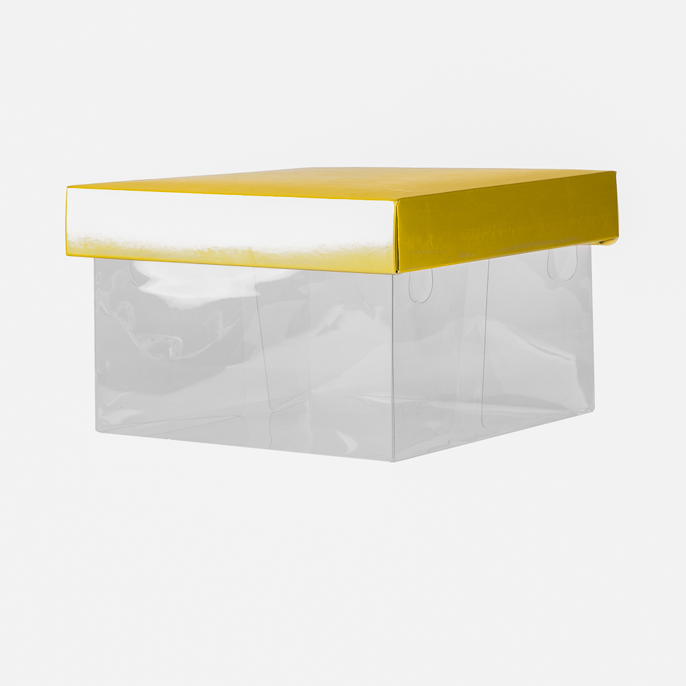 Caja plastica para pastel 8pulg dorado/plata transparente