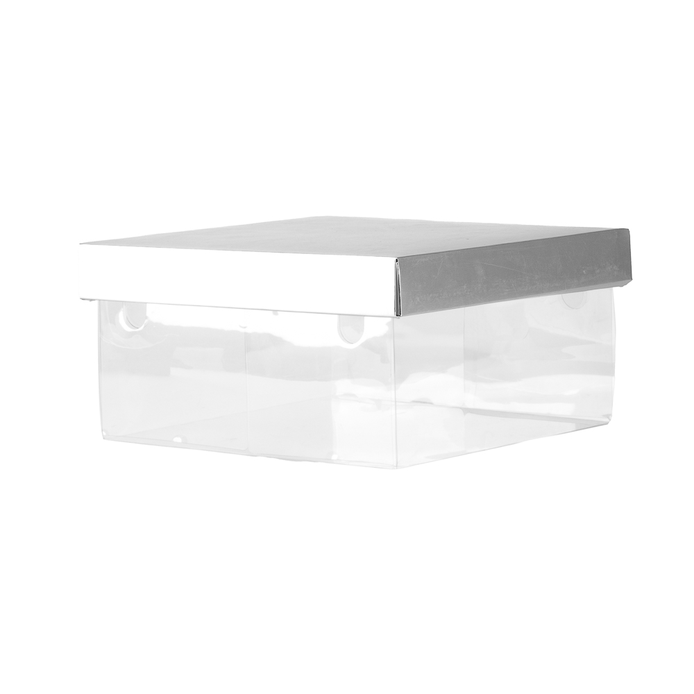 Caja plastica para pastel 10pulg dorado/plata transparente