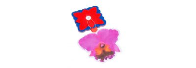 Guirnalda papel tricolor con guaria morada 3m