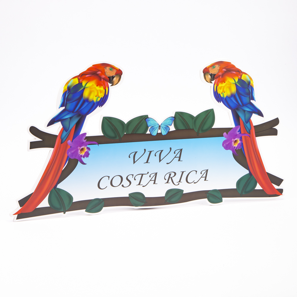 Figura lapa roja viva Costa Rica 40x60cm