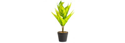 Planta artificial Magnolia ojo de gato blanco con maceta