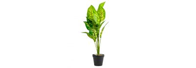 Planta artifical polo alto macular evergreen con maceta