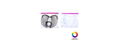 Set alas y diadema