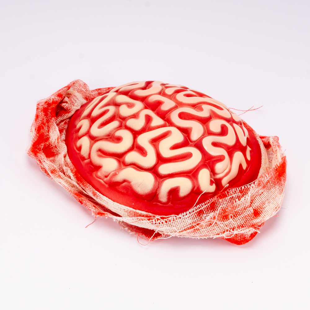 Cerebro plástico zombie con malla 21cm