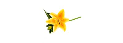 Flor artificial lirio