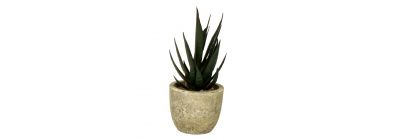 Planta artificial con macetero surtido