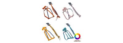 Pechera y correa bicolor