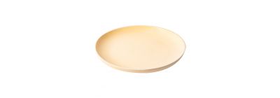 Plato porcelana plano liso con borde 10pulg 