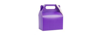 Caja cartón lisa 15x9.2x16.5cm 8und morado