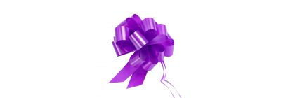 Lazo plástico liso 5pulg 6pzas morado