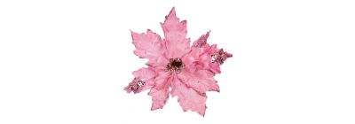 Flor navideña rosado