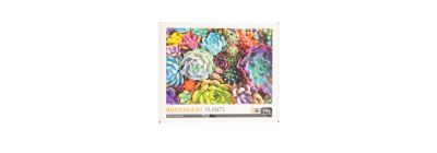 Rompecabeza succulent plants 70x50cm 1000pzas +14a