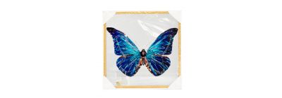 Cuadro decorativo mariposa azul