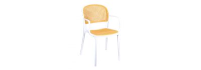 Silla plástica con brazos 52x55.5x81.5cm