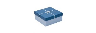 Caja cartón cuadrada 21.5x21.5x9.5cm