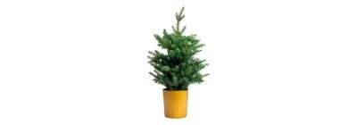 Árbol mesa navideño con maceta 60cm