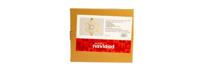 Figura luminosa navideña copo nieve 