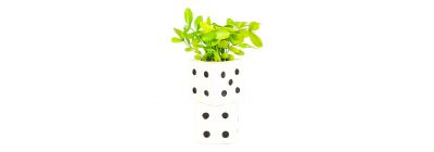 Planta artificial maceta dados