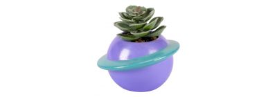 Planta artificial decorativa compacta
