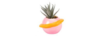 Planta artificial decorativa compacta