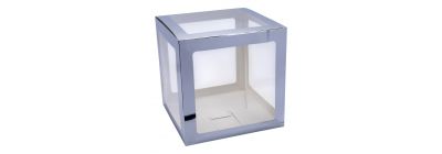 Caja cartón plateada
