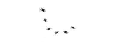 Guirnalda papel figura araña 24pzas negro