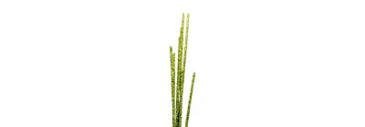 Rama artificial navideña 73cm verde limón