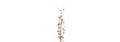 Flor artificial navideña escarchada oro rosa