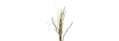 Rama artificial navideña 75cm dorado