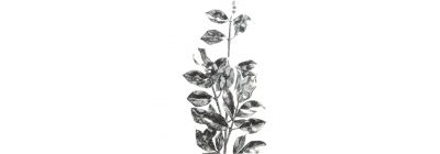 Rama artificial navideña 72cm plateado