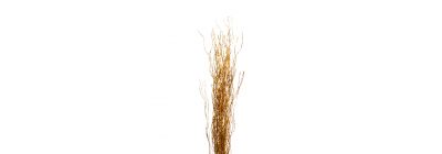 Rama artificial navideña 75cm dorado