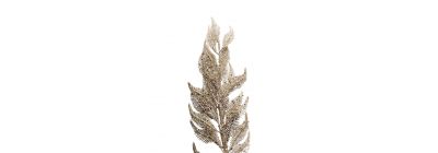Rama artificial navideña 70cm champagne