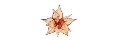 Flor artificial decorativa