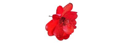 Flor artificial navideña escarchada